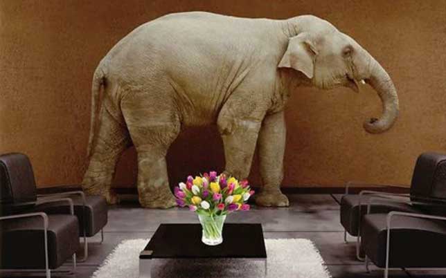 The Elephant in the Room